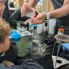 Chimie  et terroir à Cherbourg Mai 2025