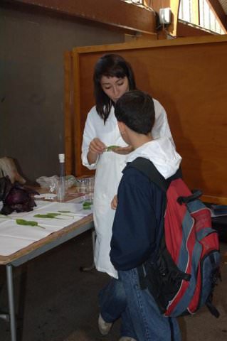 Chimie et terroir à Brive la Gaillarde Mai 2008