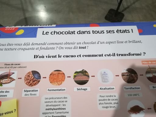 photos_séverine_martrenchard