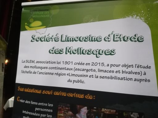 photos_séverine_martrenchard